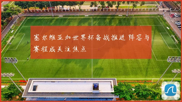 塞尔维亚加世界杯备战推进 阵容与赛程成关注焦点