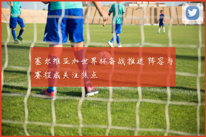 塞尔维亚加世界杯备战推进 阵容与赛程成关注焦点