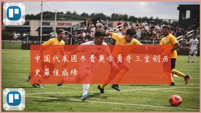 中国代表团冬青奥会勇夺三金创历史最佳成绩