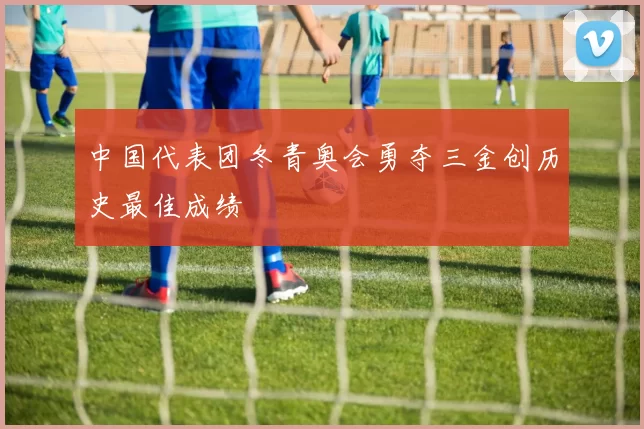 中国代表团冬青奥会勇夺三金创历史最佳成绩