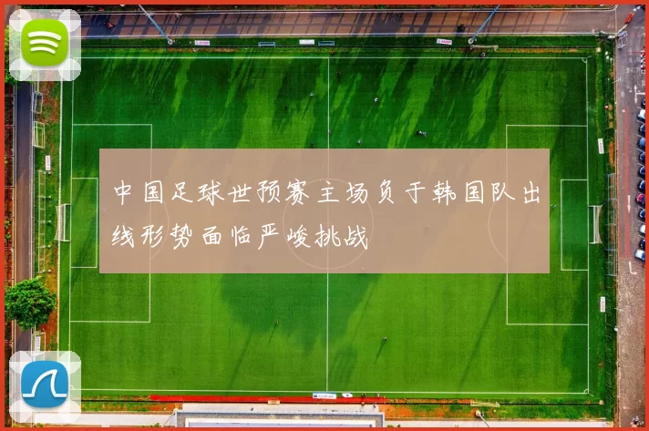 中国足球世预赛主场负于韩国队出线形势面临严峻挑战