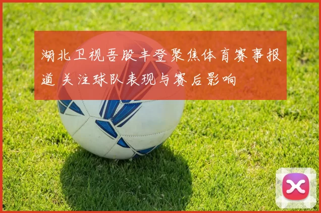 湖北卫视吾股丰登聚焦体育赛事报道 关注球队表现与赛后影响