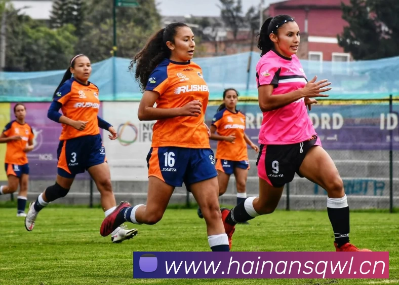 bsports网页版登录入口 - B(中国)平台生态图